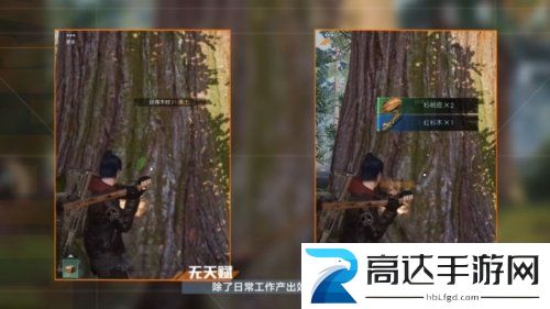 黎明觉醒厨师怎么升级 厨师等级提升攻略