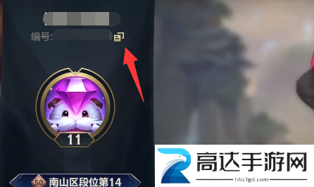 英雄联盟手游好友称号获得攻略 lol手游好友称号设置方法