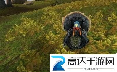 魔兽世界感恩节火鸡去哪抓怀旧服wlk感恩节火鸡位置攻略