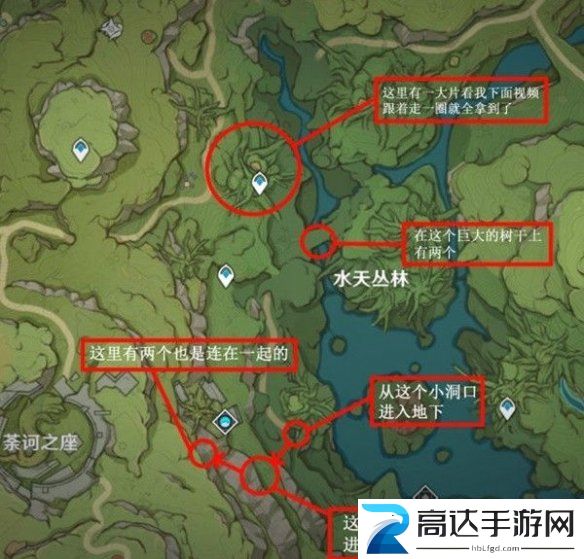 原神柯莱突破材料采集位置分享 柯莱突破材料路线分享