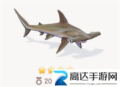 心动小镇海鱼获取时间介绍 心动小镇海鱼获取攻略