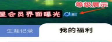 王者荣耀星会员等级怎么看星会员等级查看方法