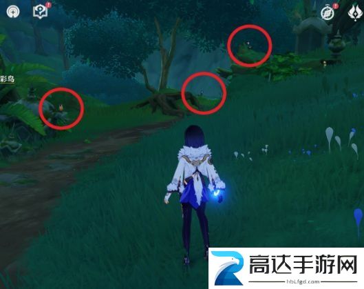 原神暝彩鸟刷新时间有多长 暝彩鸟飞走了怎么办