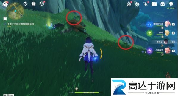 原神暝彩鸟刷新时间有多长 暝彩鸟飞走了怎么办